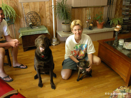 187DebandDogs